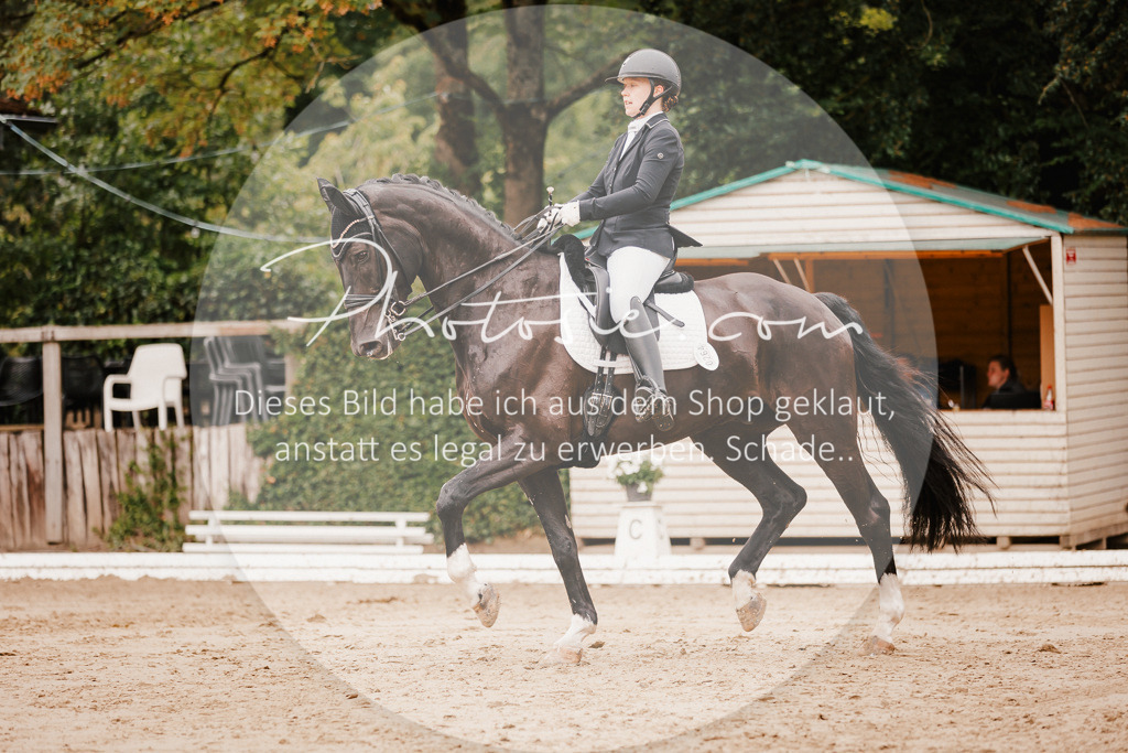 3I6A7710 | Stimmungsvolle Portraits und Reitsportfotografie im Ruhrgebiet und im Münsterland.

Pferdefotografie, Hundefotografie, Tierfotografie, Reportagen, Portraits von Tier und Mensch, Turnierfotografie in Bochum, Recklinghausen, Marl, Haltern am See, Dülmen.. - Realisiert mit Pictrs.com