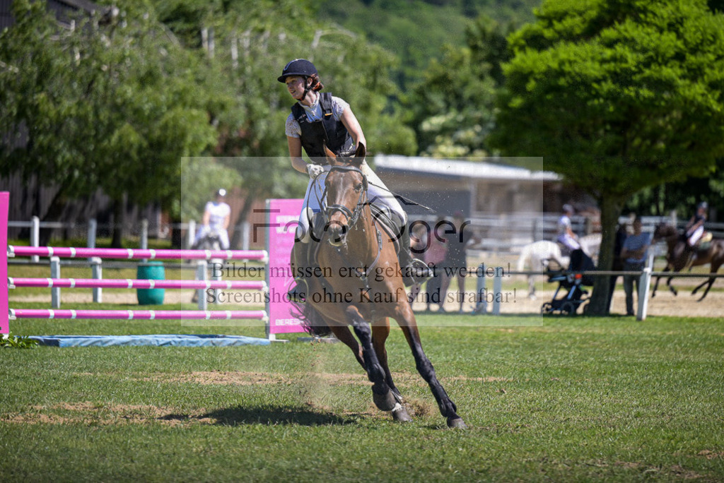 Reitturnier Voxtrup | Entdecke hochwertige Reitturnierfotos von Foto Oger. Professionell, emotional und authentisch – jetzt Lieblingsmomente im Shop bestellen. - Realisiert mit Pictrs.com