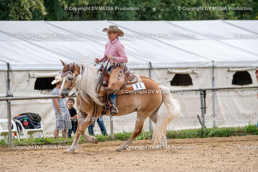 LM Heiligenwald Tag 2-2536 | dv-media-shop - Realisiert mit Pictrs.com