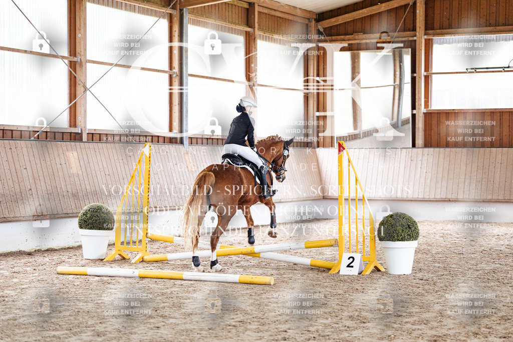 CK902522 | Turnierfotografie Pferdefotografie Trier Rheinland-Pfalz Pferdesport Reitsport Tierfotografie Sportfotografie Pferdevideo Pferdevideografie Equestrianvideography equestrianphotography  - Realisiert mit Pictrs.com