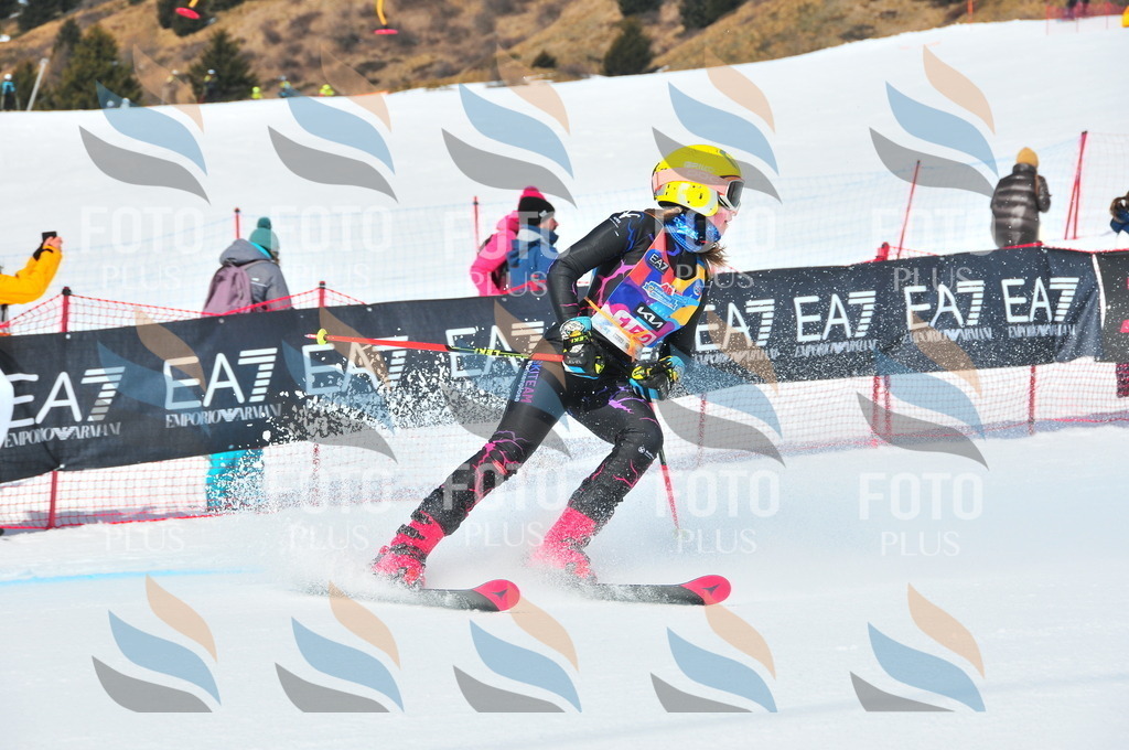 DSC_5093 | holidayphoto