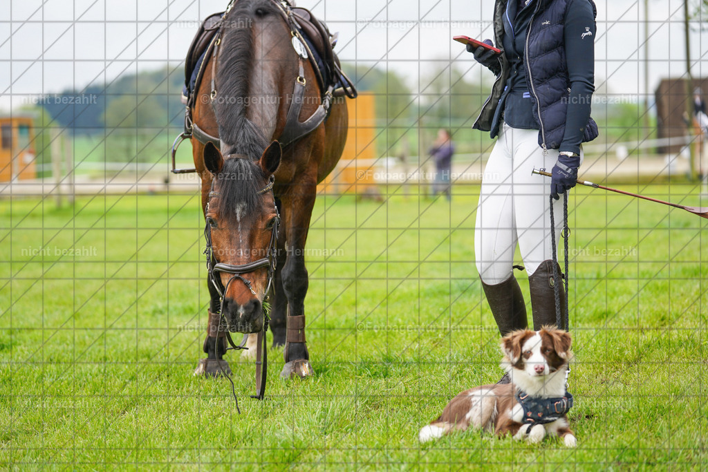 FAH09959 | Fortsinning Maiturnier 2023, RuV Windhof Forstinning, 06.05.2023, Turnierbilder, Turnierfotografen Bayern, Fotoagentur Herrmann, Pferdefotograf, Reitsportfotografie