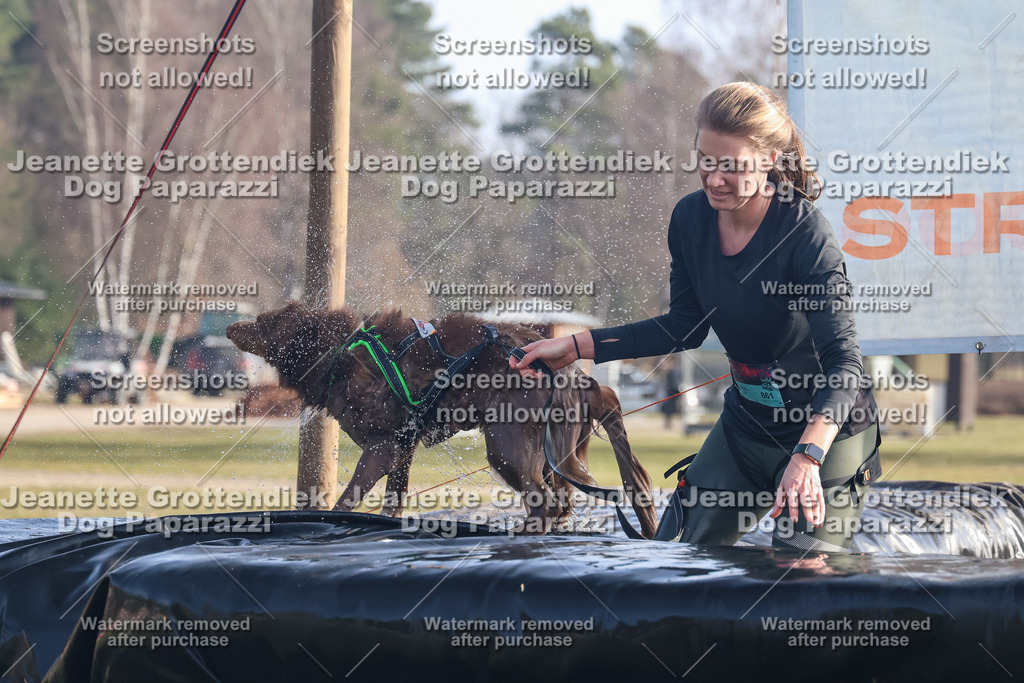 Dog Paparazzi - Strongdog North Mrz26-706 | Dog Paparazzi Jeanette Grottendiek Fotografie & Videografie - Realisiert mit Pictrs.com