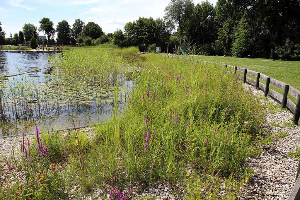 Ökobad Lindenthal | Das Team hinter BILDLEXIKON LEIPZIG bündelt historische wie aktuelle Informationen über die Stadt Leipzig in Text und Bild auf einer Plattform und stellt diese der interessierten Öffentlichkeit zur Verfügung.