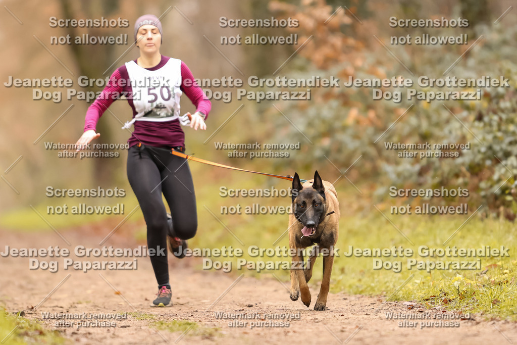 Dog Paparazzi - Speedhunter Mannheim  2025-136 | Dog Paparazzi Jeanette Grottendiek Fotografie & Videografie