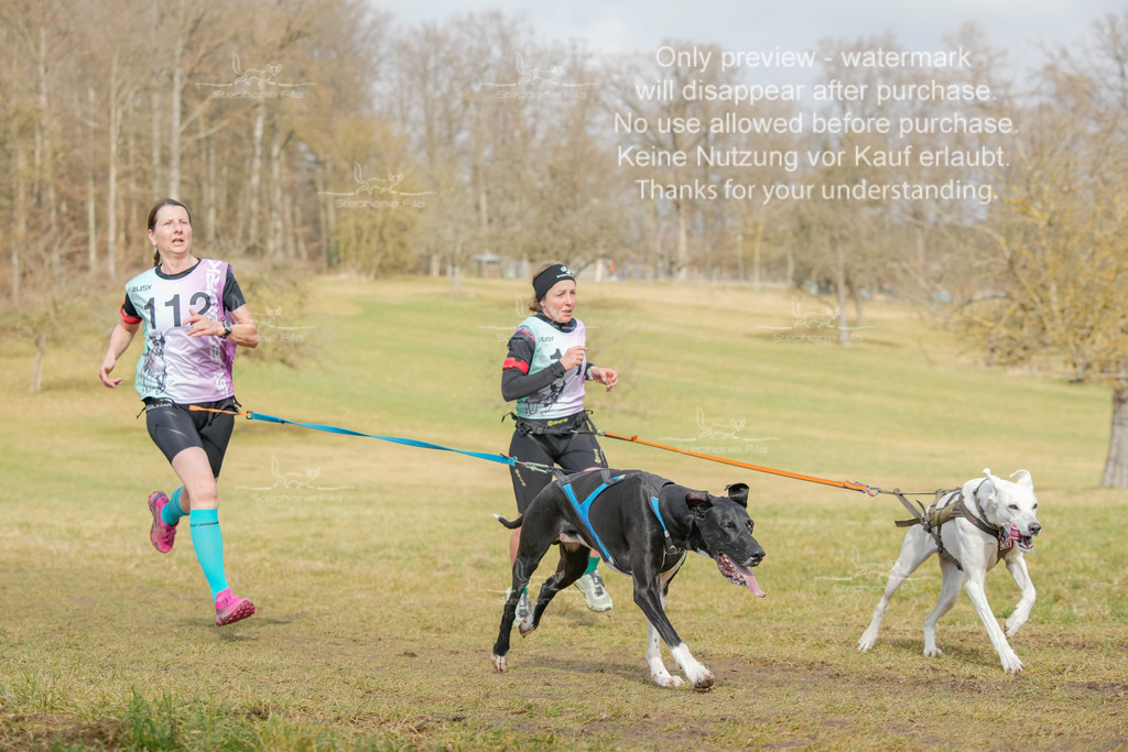 Sa_CC2-57 | stephaniefillaphotographie - Realisiert mit Pictrs.com