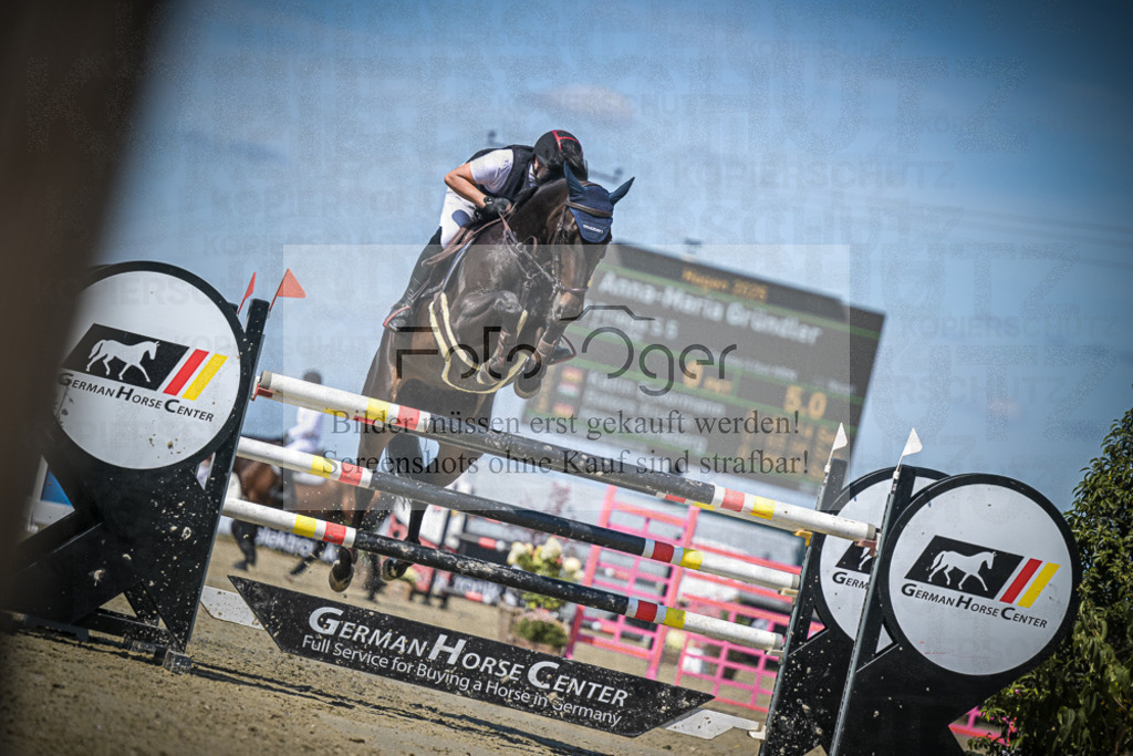 DOS_3102 | Entdecke hochwertige Reitturnierfotos von Foto Oger. Professionell, emotional und authentisch – jetzt Lieblingsmomente im Shop bestellen.Deutschlandweite Turnierfotografie. - Realisiert mit Pictrs.com