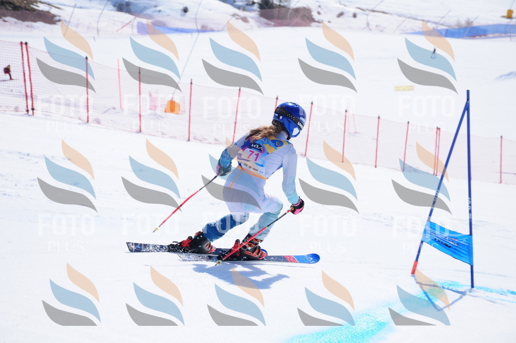 DSC_4434 | holidayphoto