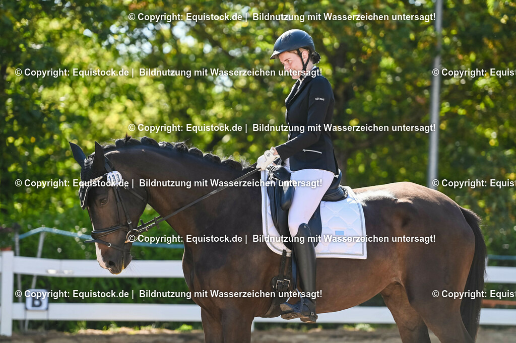 20230715_06_Dressurpferdeprfg. Kl.A_0382 | equistock