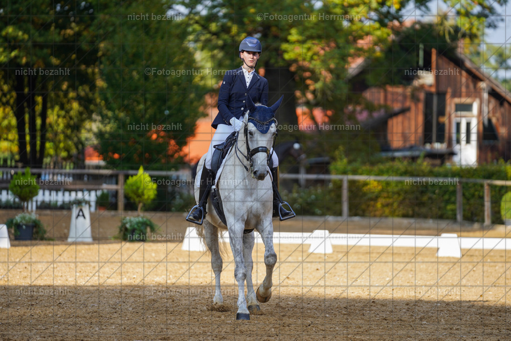20221007-FAH00053 | Diessen am Ammersee, 2022, Dressur- und Springturnier, Reitsportbilder, Turnierfotografen Bayern, Pferdefotografen, Fotoagentur Herrmann, Turnierbilder