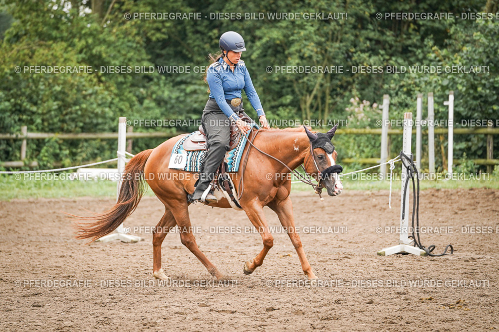 DSC02320 | Pferdegrafie