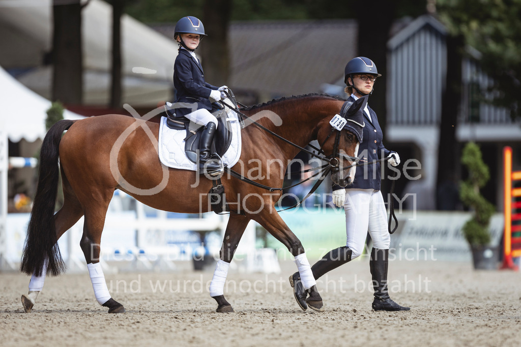 240915_OWLCh_FuehrzuegelWB-669 | Deine schönsten Turniermomente als professionelle Fotos! Entdecke hochwertige Pferdesport-Fotografie im Online-Shop. Jetzt Fotos finden & bestellen!