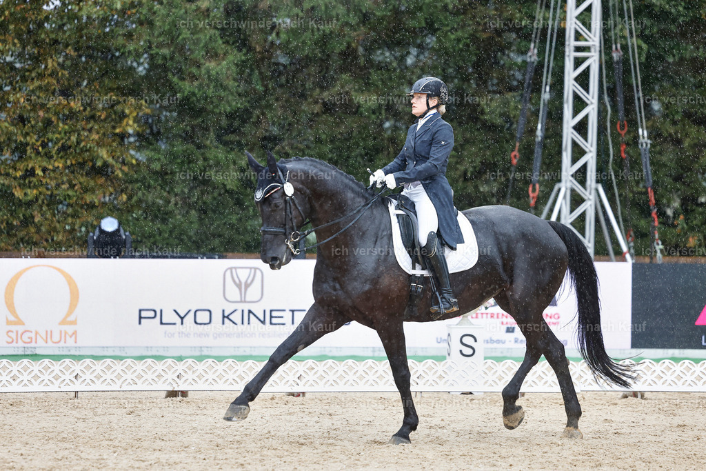 8_2-171-DRESSUR S_  -StoibPH-4498 | working equitationturnier fotograf videograf stoibphotography marixx film working equitation deutschland reitsport turnierfotografie eventfotografie equestrian events