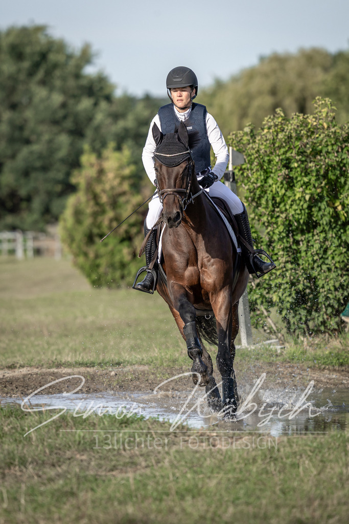 20250907-_3LI8632 | Tierfotografie Pferde, Hunde, Katzen, Haustiere.
Turnierfotografie Reitturniere, Reiten, Springreiten, Dressur in Hanau, dem Main-Kinzig-Kreis und dem Rhein-Main- Gebiet um Frankfurt