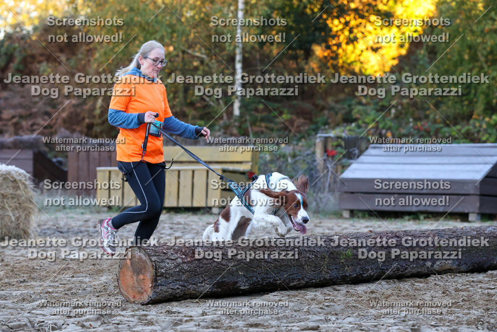 Dog Paparazzi - Strongdog 10-25-313 | Dog Paparazzi Jeanette Grottendiek Fotografie & Videografie - Realisiert mit Pictrs.com