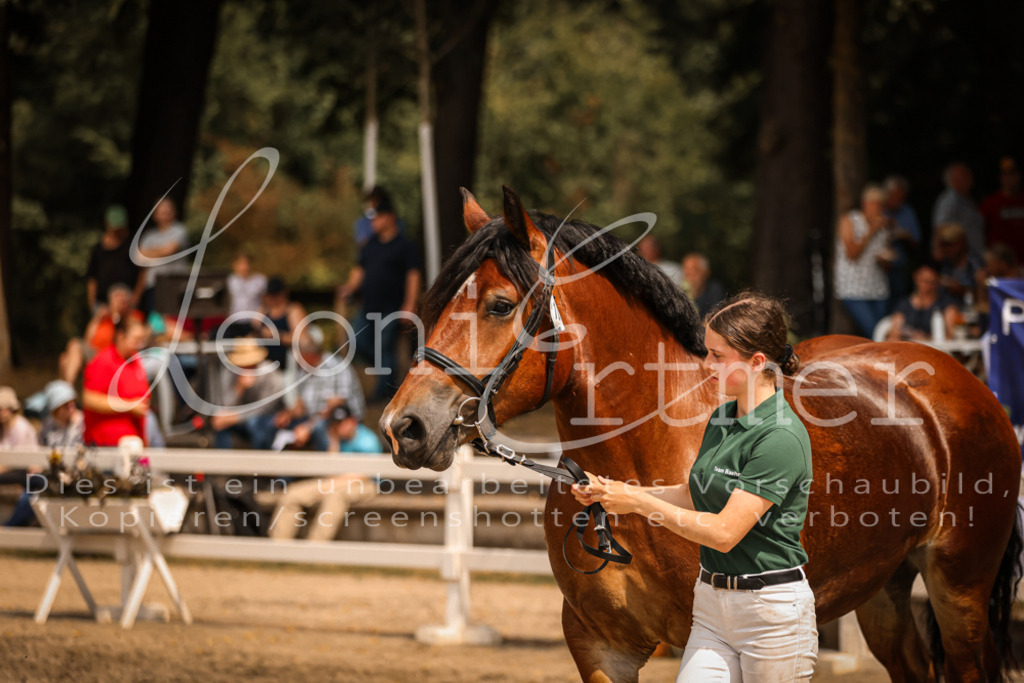 2.Sa00043 | Leoni Ertmer Photography - Realisiert mit Pictrs.com