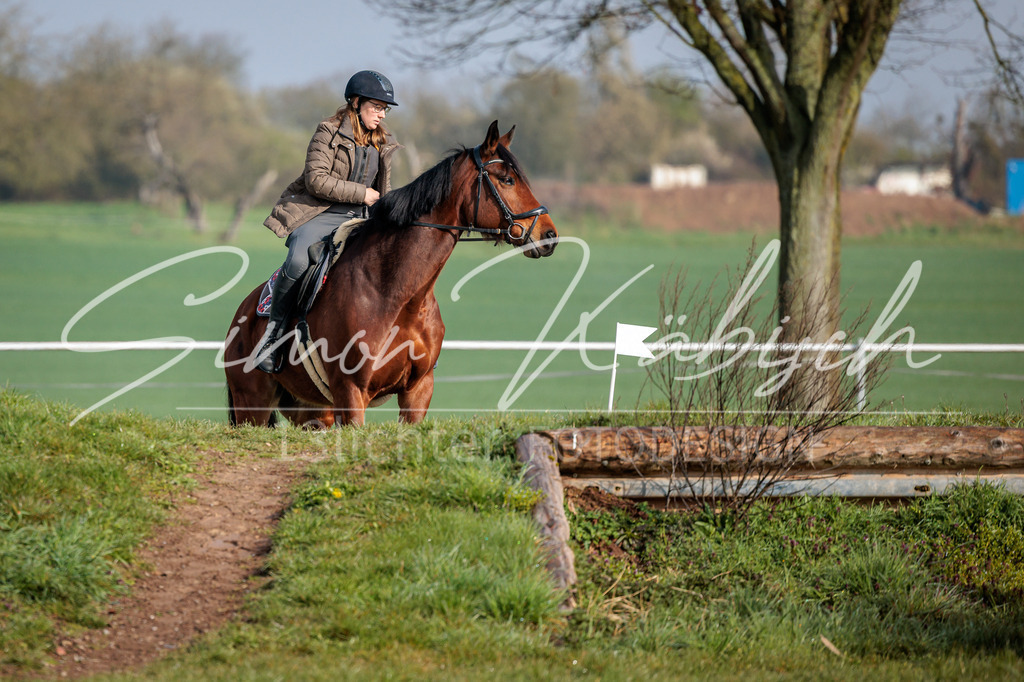 20260329-_3LI3269 | Tierfotografie Pferde, Hunde, Katzen, Haustiere.
Turnierfotografie Reitturniere, Reiten, Springreiten, Dressur in Hanau, dem Main-Kinzig-Kreis und dem Rhein-Main- Gebiet um Frankfurt