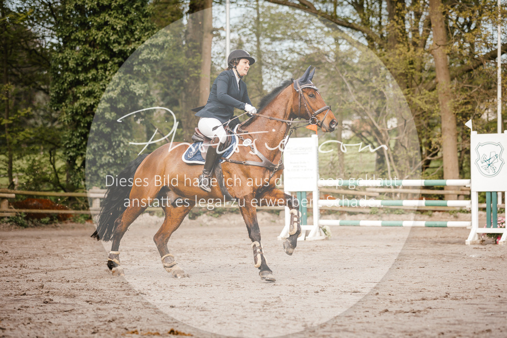 3I6A3298 | Stimmungsvolle Portraits und Reitsportfotografie im Ruhrgebiet und im Münsterland.

Pferdefotografie, Hundefotografie, Tierfotografie, Reportagen, Portraits von Tier und Mensch, Turnierfotografie in Bochum, Recklinghausen, Marl, Haltern am See, Dülmen.. - Realisiert mit Pictrs.com