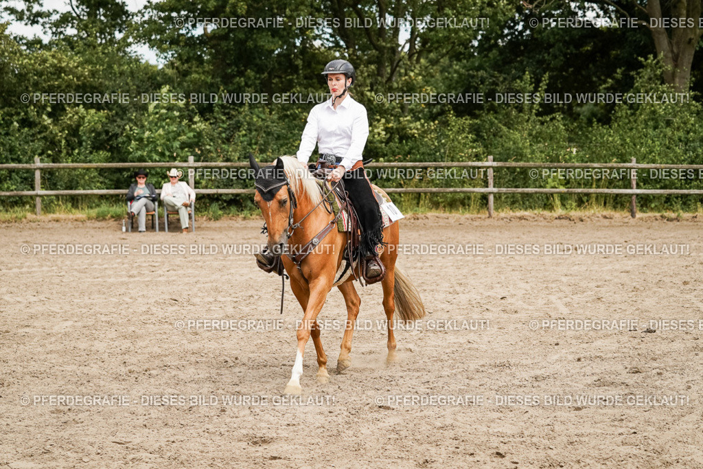 DSC00273 | Pferdegrafie