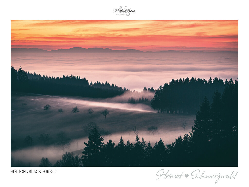 Edition "BLACK FOREST" | Motiv: Geisberg im Schuttertal, mittlerer Schwarzwald. Die beliebtesten Fotografien aus dem Schwarzwald als signierte Sonderedition. Eine exklusive Wanddekoration für alle Liebhaber von traumhaften Schwarzwaldlandschaften. Hochwertige Wandbilder in brillanter Druckqualität auf Acrylglas, Alu-Dibond und Leinwand für Ihr Zuhause – inklusive rückseitige Aufhängung.
 - Realisiert mit Pictrs.com