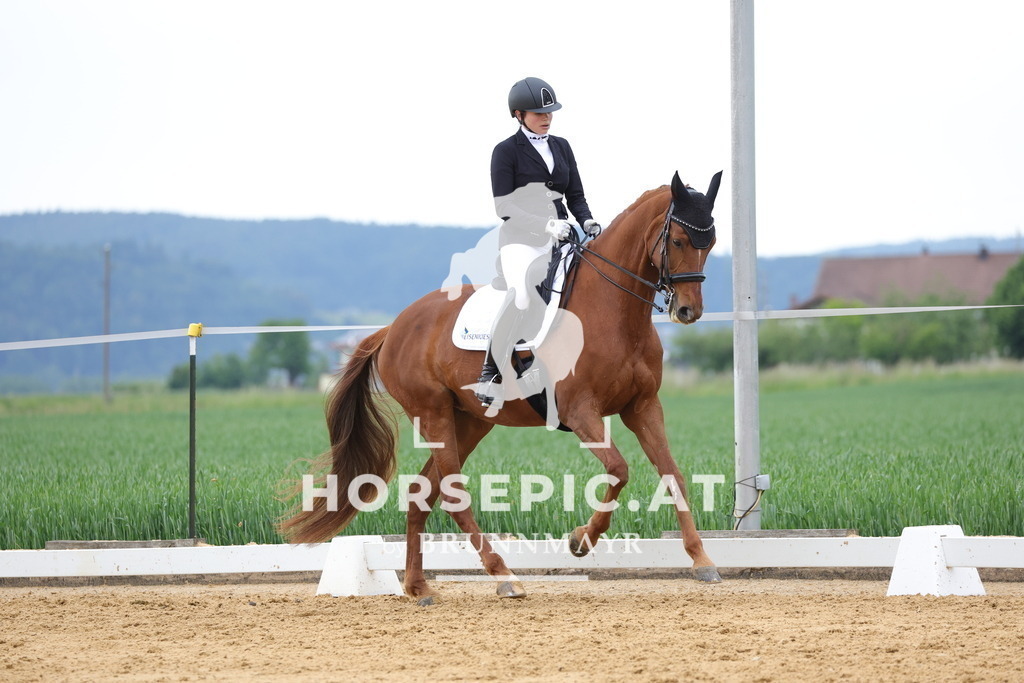 0P6A4926 | Willkommen bei Brunnmayr - Design & Fotografie – Ihrem Spezialisten für Reitturniere und Pferdeveranstaltungen in Oberösterreich, Salzburg und Bayern! Seit über 17 Jahren sind wir leidenschaftlich dabei.