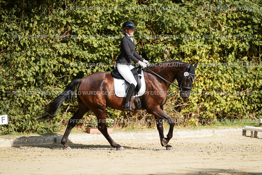 DSC08173 | Pferdegrafie