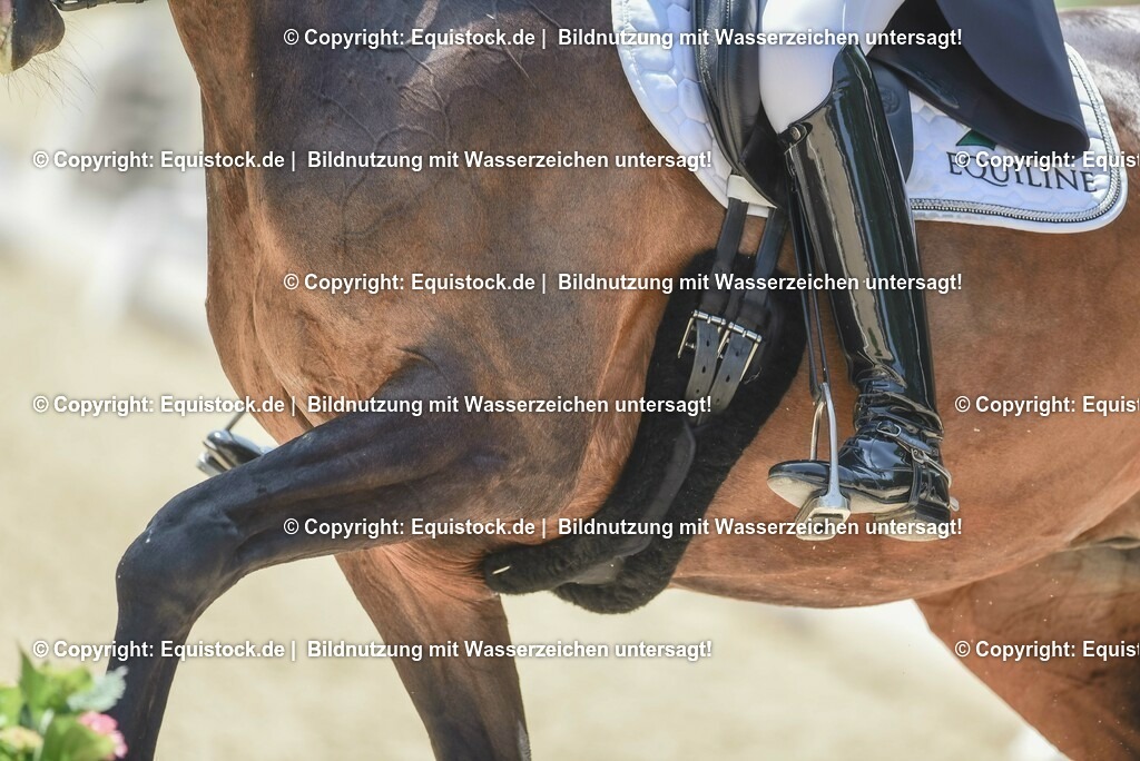 TP5_1349 | equistock