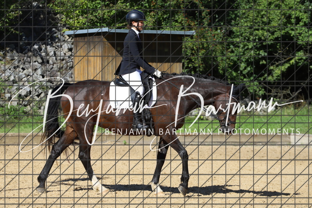 IMG_5713 | Benjamin Bartmann Photomoments