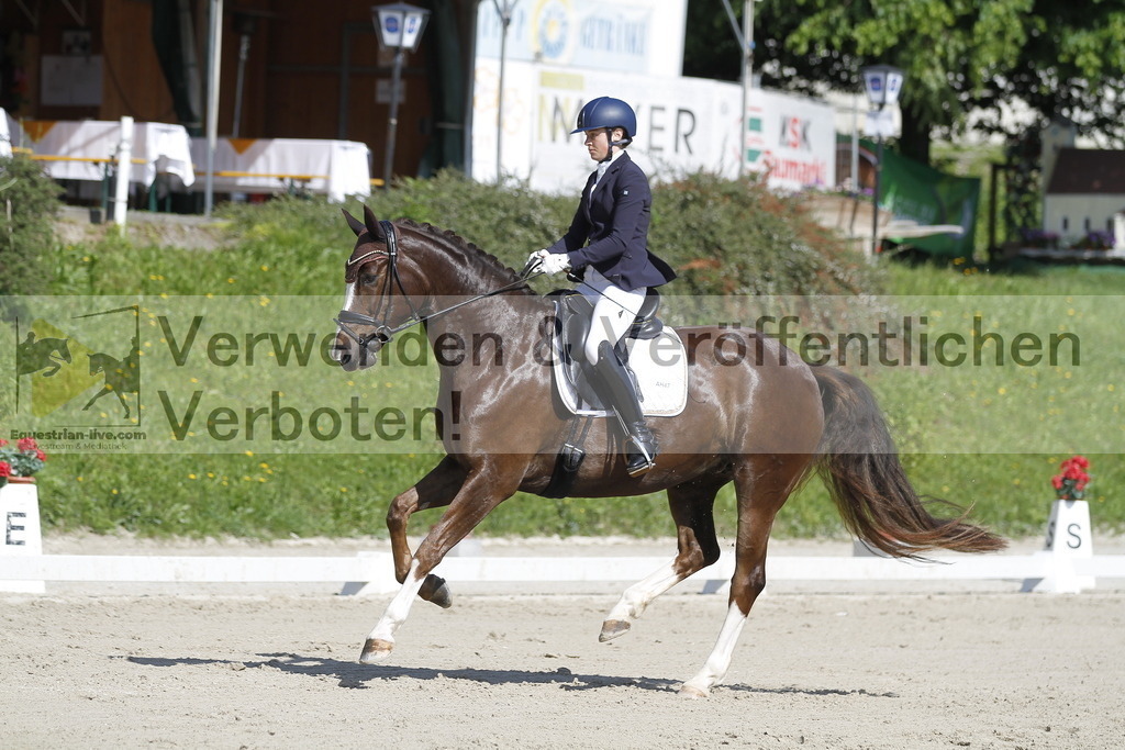 _MG_6546 | equestrian-live-com