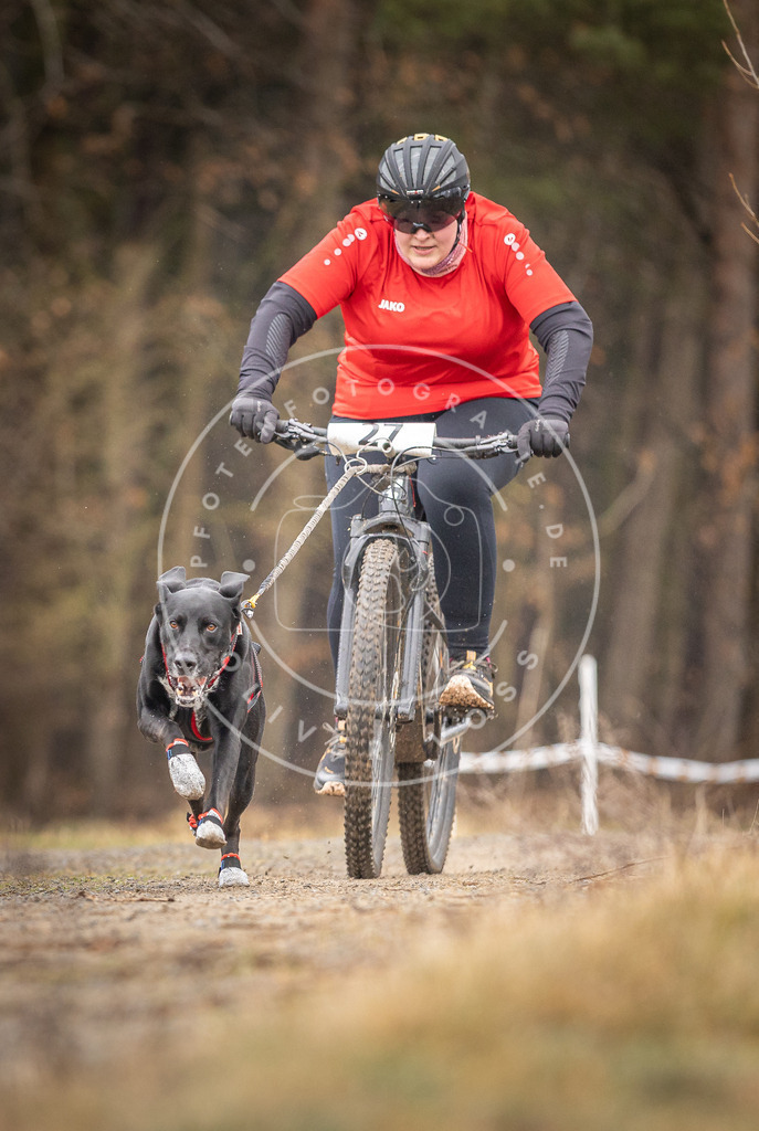 DV3A3331 | Hundefotografie, Tierfotograf, Pfotenfotografie, Fotoshooting Hund, Hunde Portrait, Hundesport, Hundeportraits, Heideshooting, Hunde, Sportfotograf, Hundefotograf, Turnierhundsport, THS,  - Realisiert mit Pictrs.com