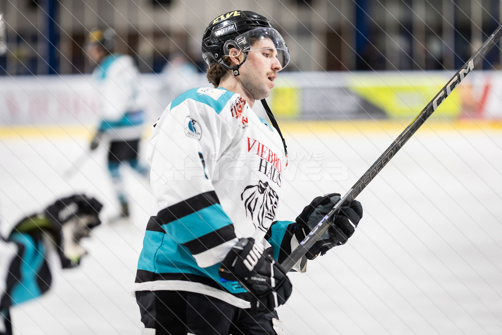 20251228_Picselweb-Fotografie_2R3_0392 | Dein Fotograf aus dem Landkreis Stade für Sport und Events - Realisiert mit Pictrs.com