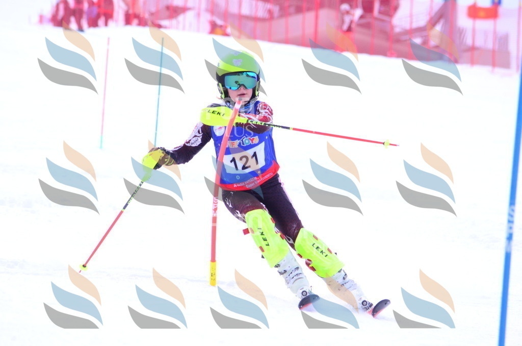 B1726 | holidayphoto