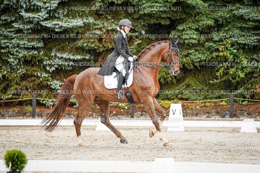 DSC09395 | Pferdegrafie