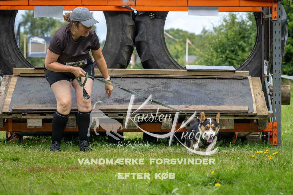 1234_ZZ94111 | kk-dogfotos