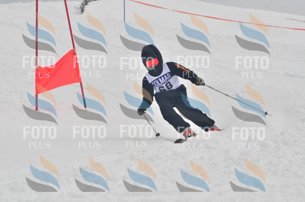 A5688 | holidayphoto