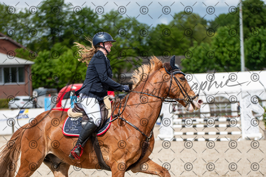 KPT_5813 | andre_photographic