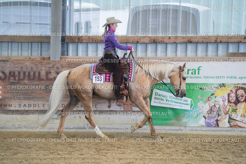 DSC09080 | Pferdegrafie