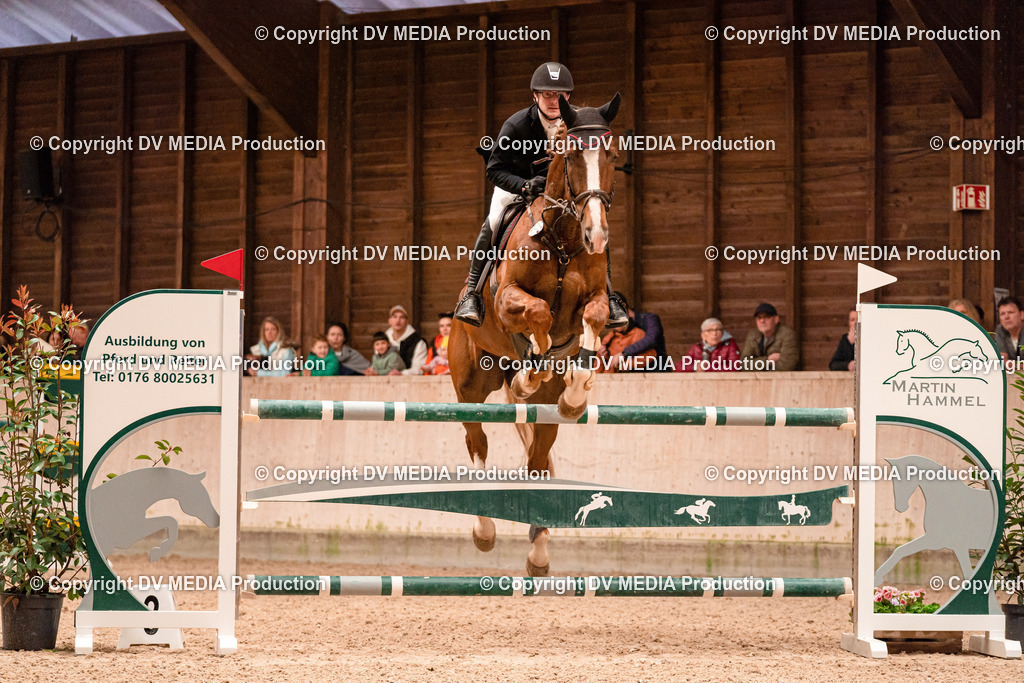 Springen Tag 3-397 | dv-media-shop - Realisiert mit Pictrs.com