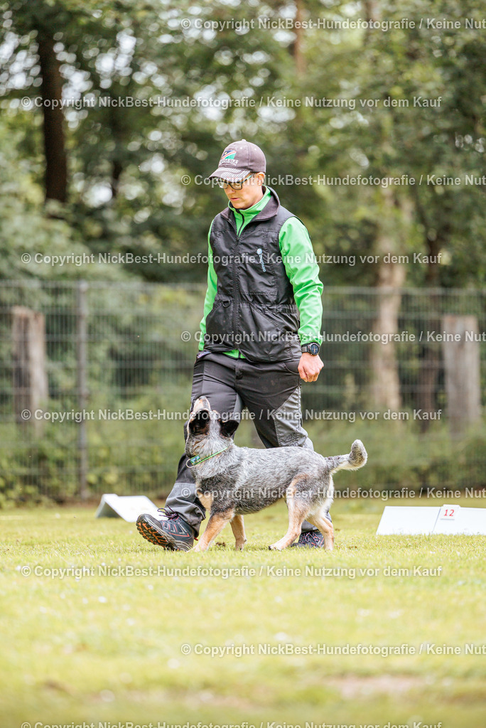 RO-Blumenthal-2026-Nickbest-Hundefotografie-1800 | Dein Hund! Dein Moment! Deine Erinnerungen! Hundefotografie in Bremen Blumenthal. Ich fange die besonderen Momente deines Vierbeiners ein – ob Indoor mit Blitzanlage oder in der freien Natur. Sicher dir dein Moment und dein Termin für eure Erinnerungen.