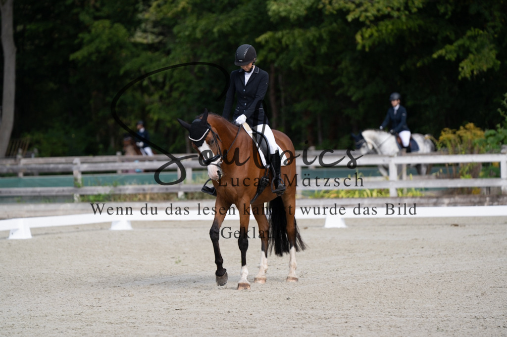 A7V06805 | Turnier/Reitfotograf