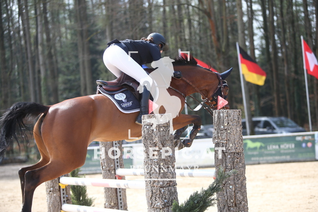 PP013793 | Willkommen bei Brunnmayr - Design & Fotografie – Ihrem Spezialisten für Reitturniere und Pferdeveranstaltungen in Oberösterreich, Salzburg und Bayern! Seit über 17 Jahren sind wir leidenschaftlich dabei.
