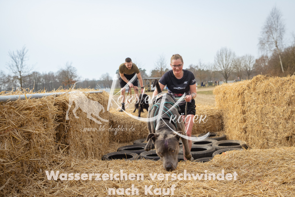 1058_ZZ91225 | kk-dogfotos