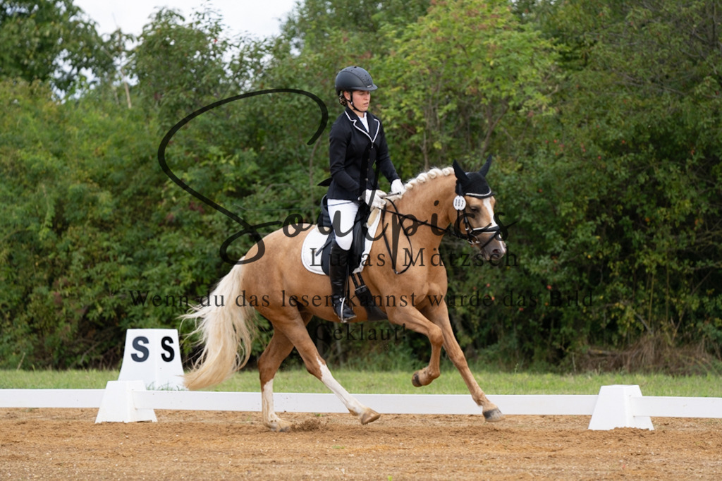 A7V03795 | Turnier/Reitfotograf