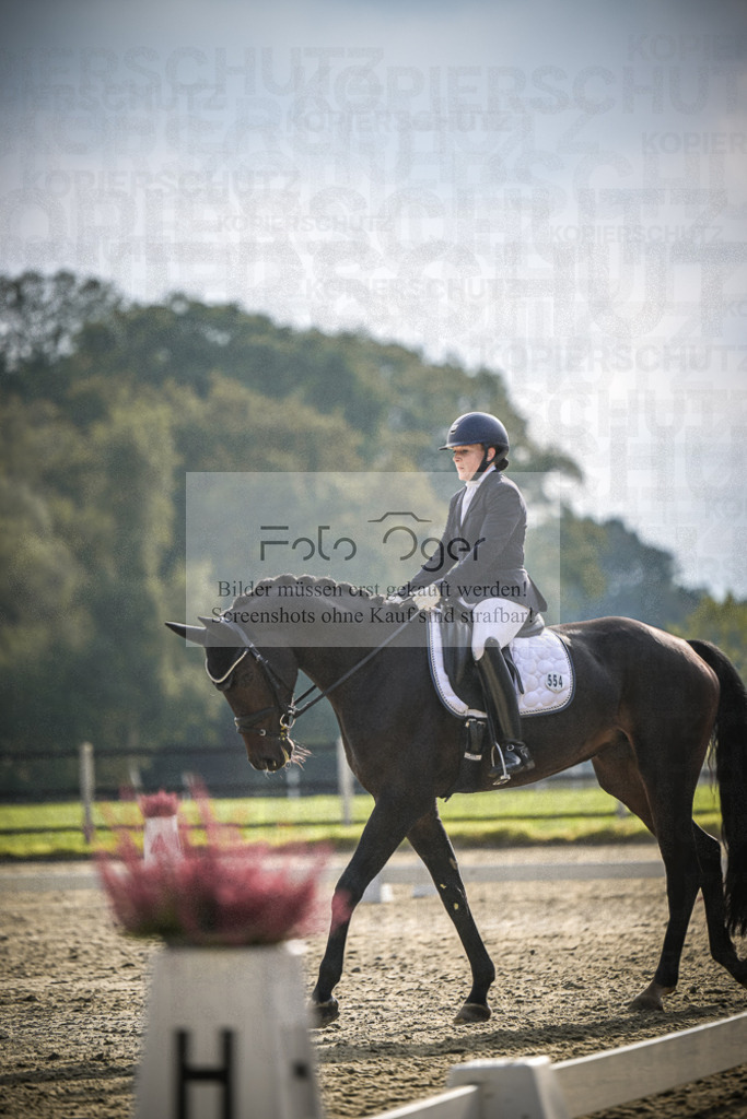 DOS_B231 | Entdecke hochwertige Reitturnierfotos von Foto Oger. Professionell, emotional und authentisch – jetzt Lieblingsmomente im Shop bestellen.Deutschlandweite Turnierfotografie. - Realisiert mit Pictrs.com