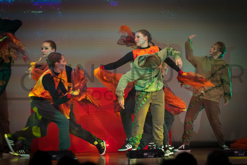 DSC05631 | Tinu Müller Fotografie- Bildershop - Realisiert mit Pictrs.com