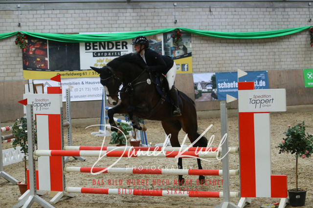 IMG_0623 | Turnierfotos kaufen im Webshop von Daniel Kuhl Photography – entdecke professionelle Reitsportfotos aus Turnieren & Events. Hochwertige Turnierbilder online bestellen & sichern. Jetzt Fotos von Reitsportturnieren kaufen!