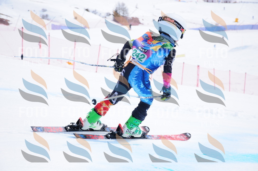 DSC_2269 | holidayphoto