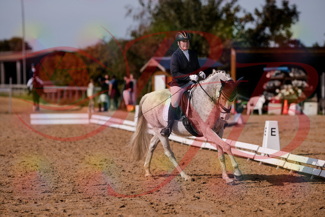 2026_10_03_Siefer-Hof_123143_Z81_30555196 | Professionelle Reitsport-, Turnier- und Eventfotografie von Robert Broda. Galerien mit ausgewählten und bearbeiteten Bildern direkt online ansehen und bestellen.