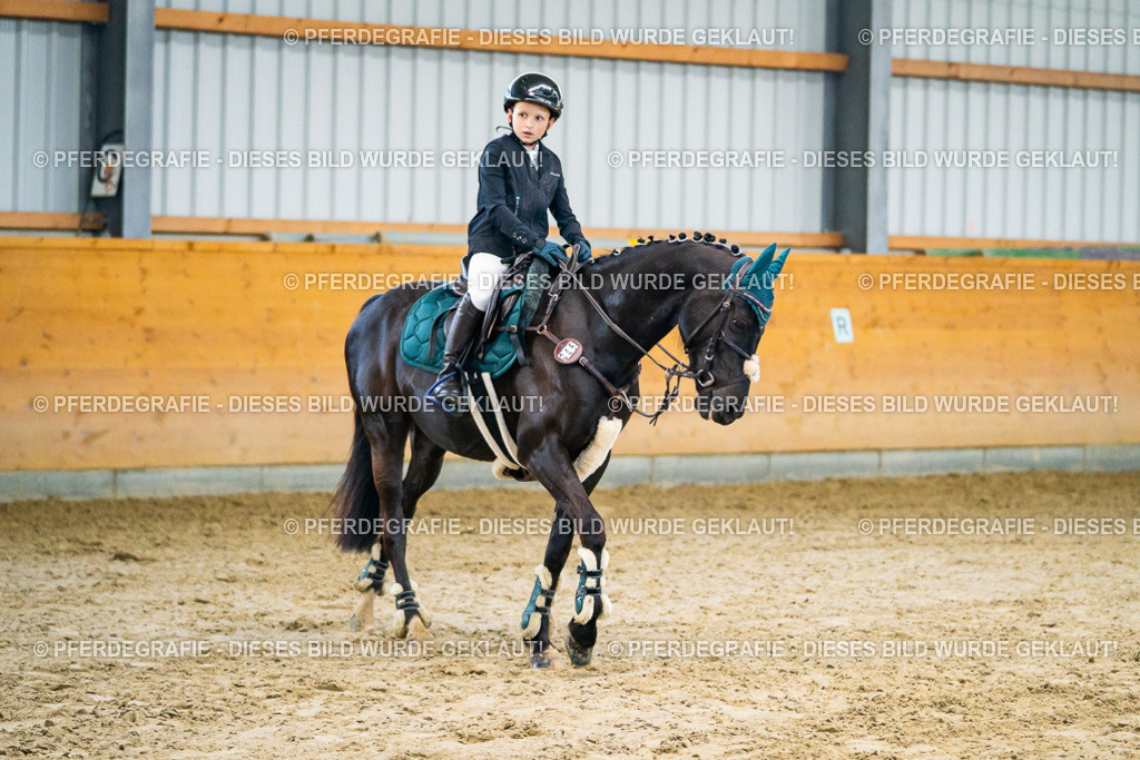 DSC00519 | Pferdegrafie