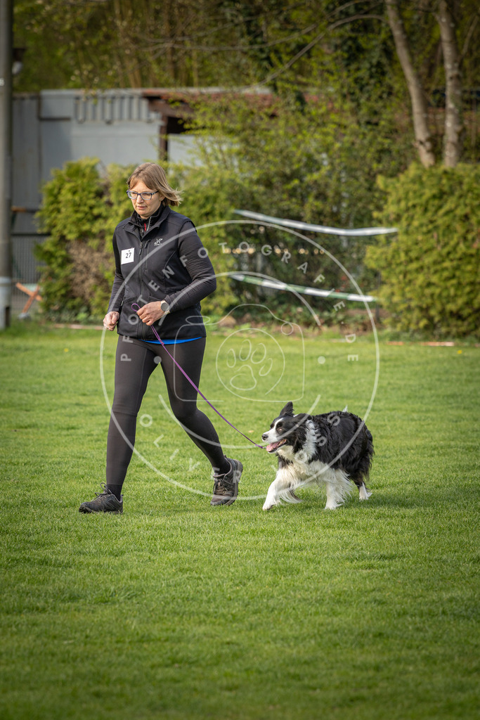 Pfotenfotografie_DV3A4876 | Hundefotografie, Tierfotograf, Pfotenfotografie, Fotoshooting Hund, Hunde Portrait, Hundesport, Hundeportraits, Heideshooting, Hunde, Sportfotograf, Hundefotograf, Turnierhundsport, THS,  - Realisiert mit Pictrs.com